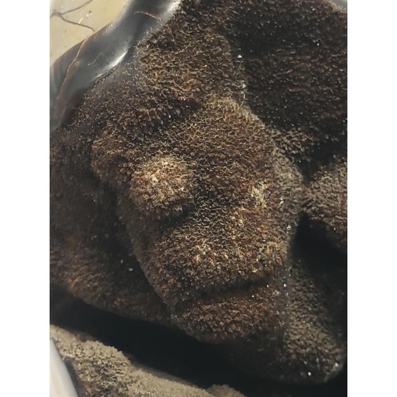 Natural Dragon Septarian Geode Freeform Quartz Cluster Crystal Healing - Picture 8 of 12